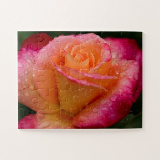 Puzzle Raindrops On Rose 11x14 facile (Horizontal)
