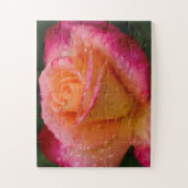 Puzzle Raindrops On Rose 11x14 facile (Vertical)