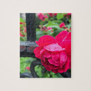Puzzle Raindrops Rose Flower Roses Rainy Day NYC