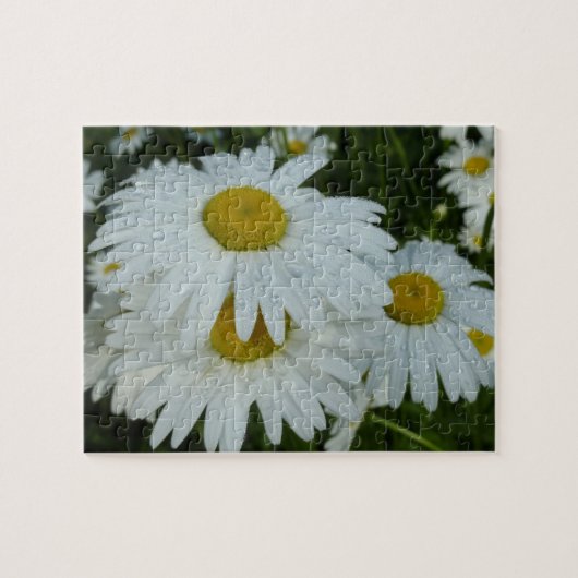 Puzzle Raindrops sur Daisies Floral Fleur sauvage (Horizontal)