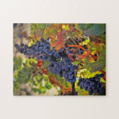 Puzzle Raisin de récolte de vin Couleurs d'automne Jigsaw (Horizontal)