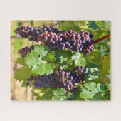 Puzzle Raisins (Horizontal)