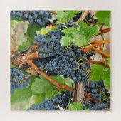 Puzzle Raisins pourpres (Horizontal)