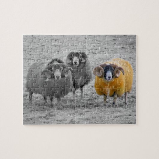 Puzzle RAM écossaises (Horizontal)