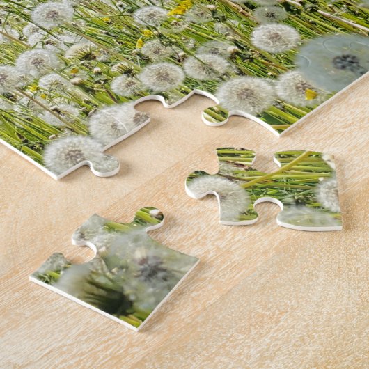 Puzzle Ranch Dandelion Field (Côté)