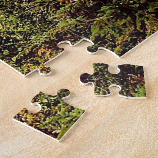 Puzzle Randonnée Pittoresque White Mounts New Hampshire P (Côté)