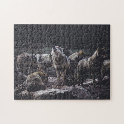 Puzzle Rassembler Le Pack Wolf (Horizontal)
