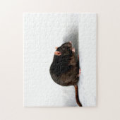 Puzzle Rat 11x14 jpcna 252pc (Vertical)