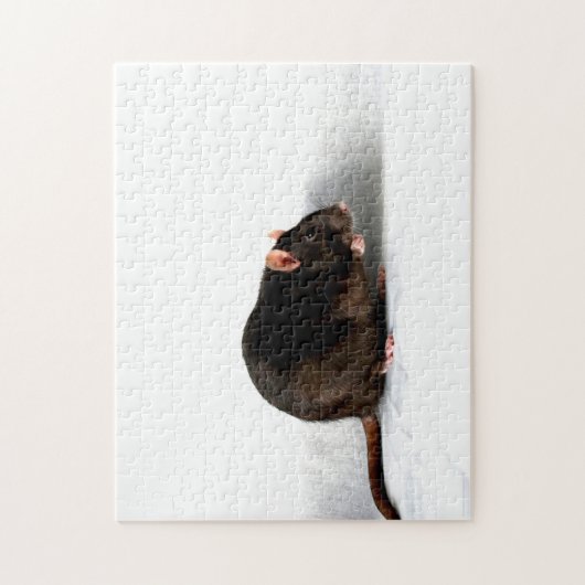 Puzzle Rat 11x14 jpcna 252pc (Vertical)
