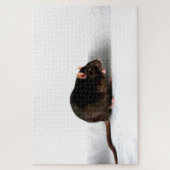 Puzzle Rat 20x30 1014pc jpa (Vertical)