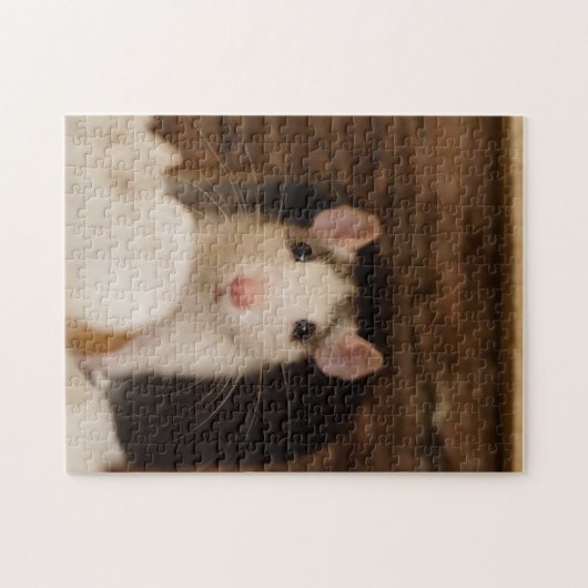 Puzzle Rat mignon (Horizontal)
