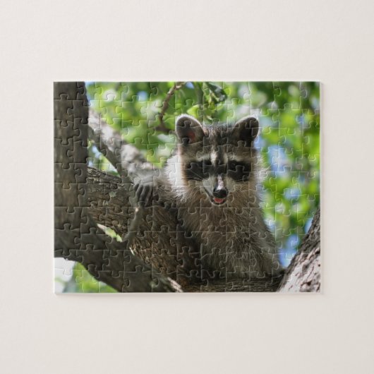 Puzzle Raton laveur - casse-tête (Horizontal)