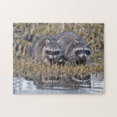Puzzle Ratons laveurs jumeaux (Horizontal)