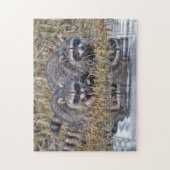 Puzzle Ratons laveurs jumeaux (Vertical)