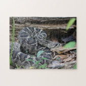 Puzzle Rattlesnake (Horizontal)