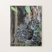 Puzzle Rattlesnake (Vertical)