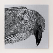 Puzzle Raven Illustration (Horizontal)