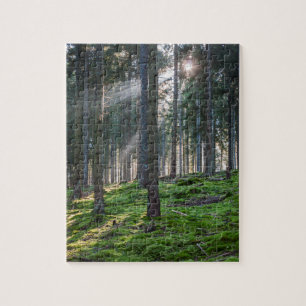 Puzzle Rayons de soleil dans la Forêt-Noire