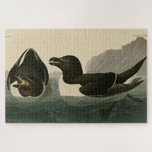 Puzzle Razor Bill, John James Audubon's Birds of America