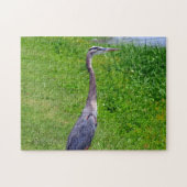 Puzzle Recherche d'oiseaux (Horizontal)