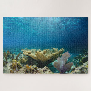 Puzzle Récif de corail faible 20 po x 30 po