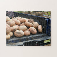Récolte citrouille Sur Autum De Camion