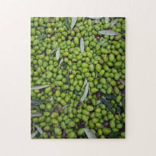 Puzzle Récolte olive #1