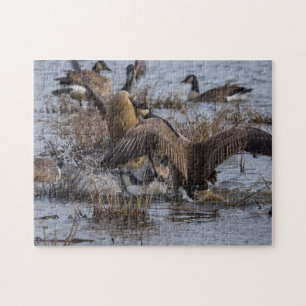 Puzzle Reculez