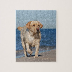 Puzzle Récupérateur de labrador jaune sur la plage