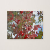Puzzle Red Berries Nature Photo Fruit Garden Automne Auto (Horizontal)
