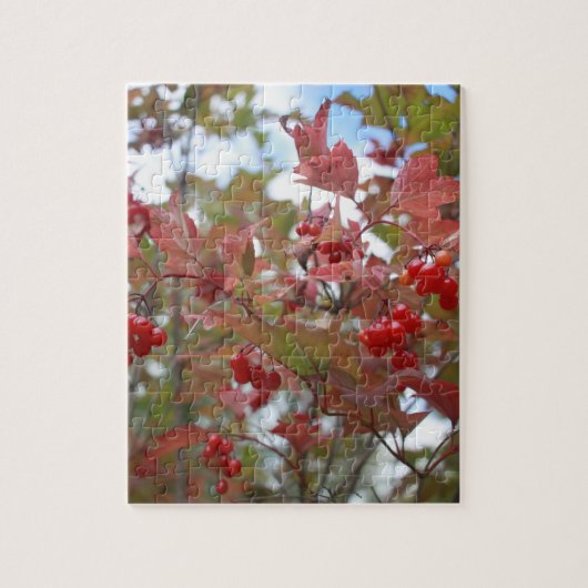 Puzzle Red Berries Nature Photo Fruit Garden Automne Auto (Vertical)
