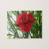 Puzzle Red Carnation (Horizontal)