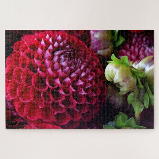 Puzzle Red Dahlia Challenge (Horizontal)