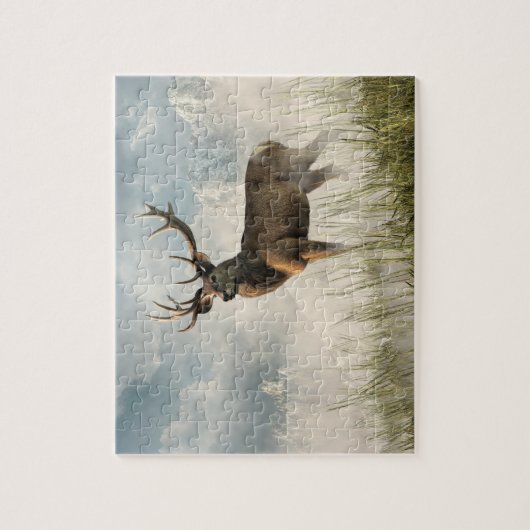 Puzzle Red Deer (Vertical)