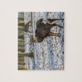 Puzzle Red Deer dans la neige (Vertical)