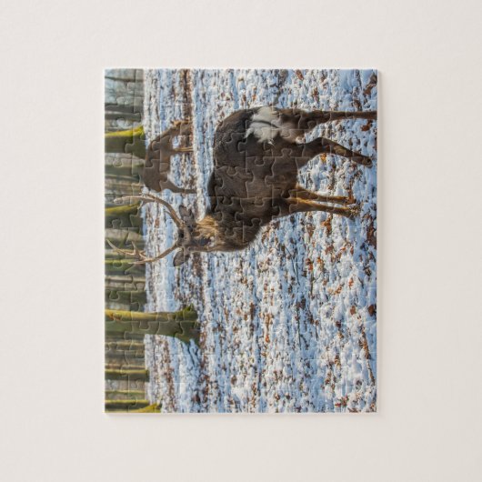 Puzzle Red Deer dans la neige (Vertical)