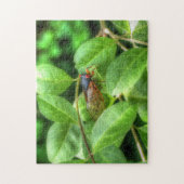 Puzzle Red Eyed Cicada (Vertical)