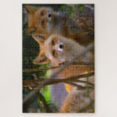 Puzzle Red Fox Family Challenging Nature Lover (Vertical)