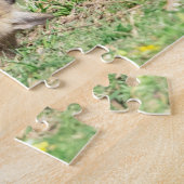Puzzle Red Fox Kits Jouer (Côté)