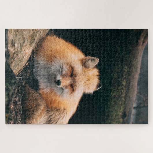Puzzle Red Fox Sleeping (Horizontal)