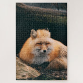 Puzzle Red Fox Sleeping (Vertical)