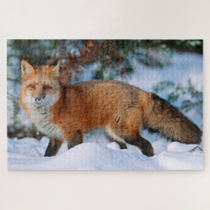 Puzzle Red Fox   Snow in Winter, Montana