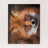 Puzzle Red Fox Wild Woodland Animal (Vertical)