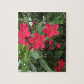 Puzzle Red Jatropha Flowers (Vertical)