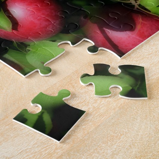 Puzzle Red McIntosh Apples Nature (Côté)