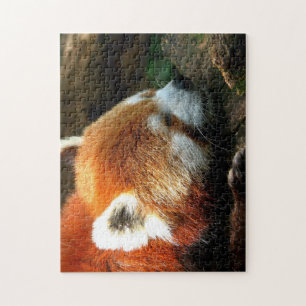 Puzzle Red Panda