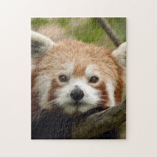 Puzzle red-panda-010 (Vertical)