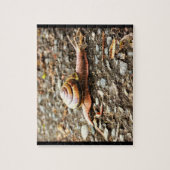 Puzzle Red Snail on the Ground (Vertical)