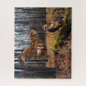 Puzzle "Red-Tailed Hawks" (Vertical)