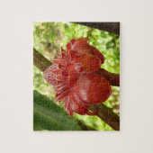 Puzzle Red Torch Ginger Tropical Flower Photographie (Vertical)